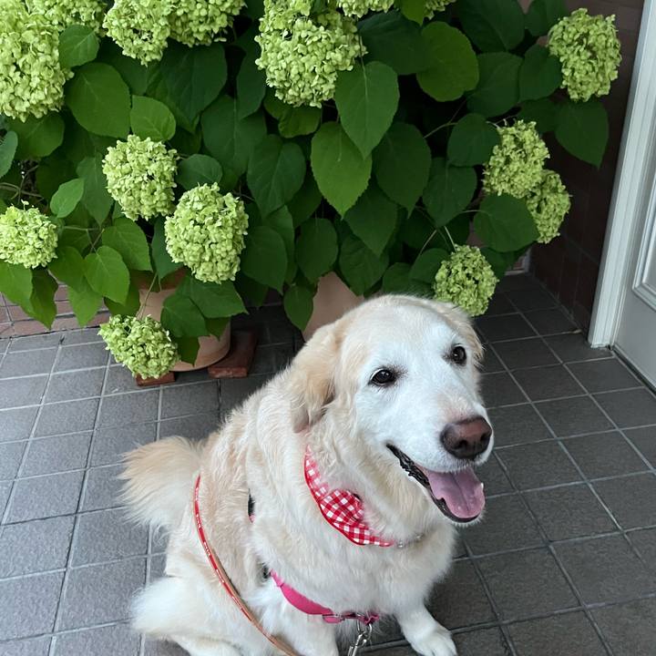 A4068f13 799e 4aa9 943a 843486d529bd 1689382100921