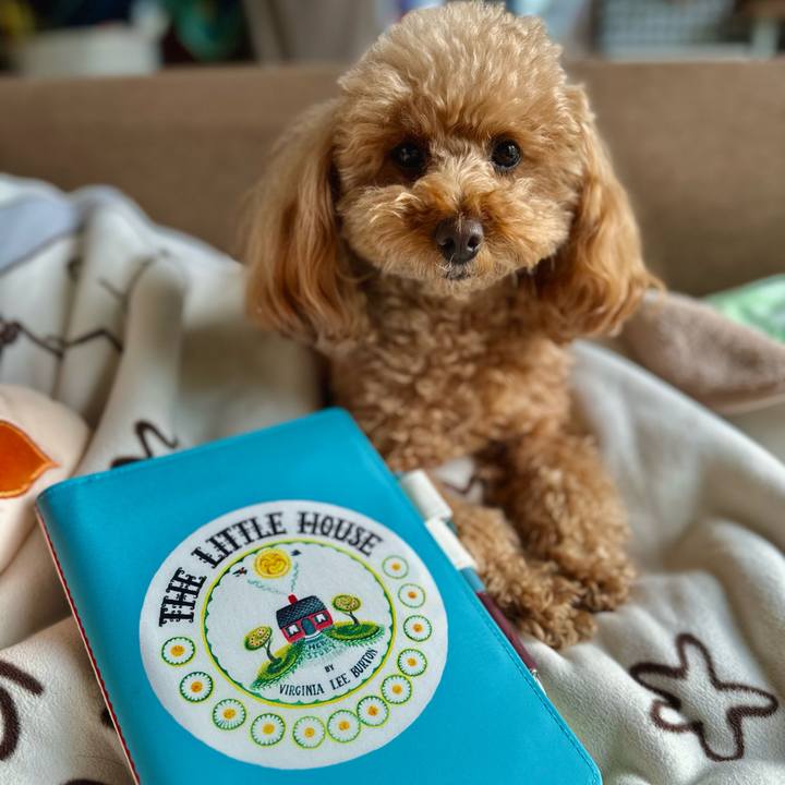 A4069007 12c8 421f 9236 766e20f357c9 1765579725146