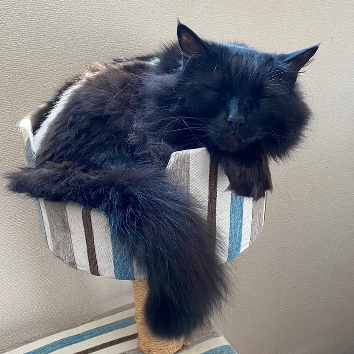 A406df21 4af2 4ae0 a59f 2f0e89ccd543 1652837217097