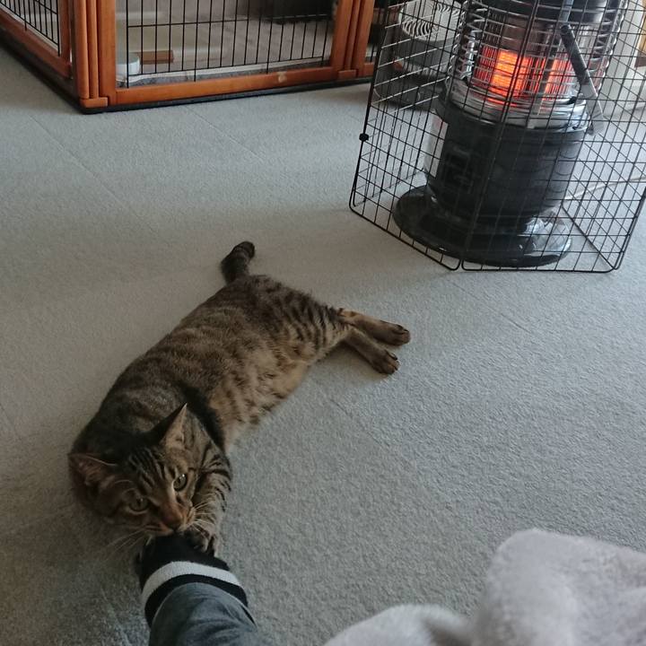 A406e2bf bc5f 44a9 b627 67974d38f00e 1573946626226