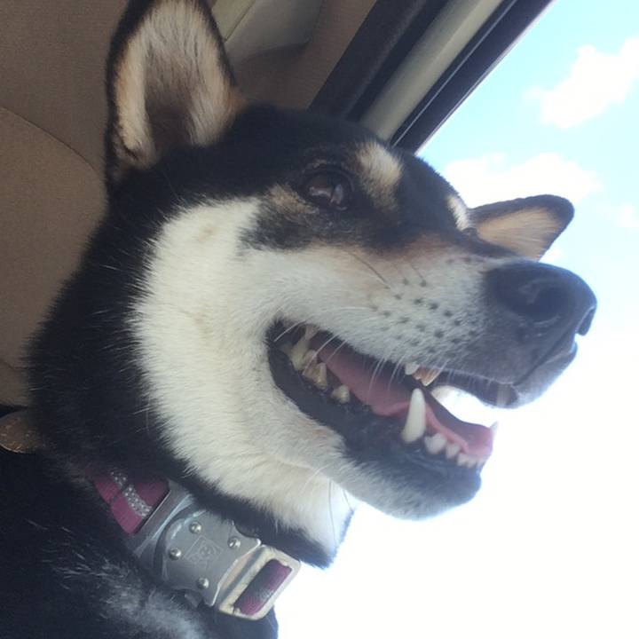 A406ed10 52d4 46e8 92c5 2e98ae42dec0 1558262585690