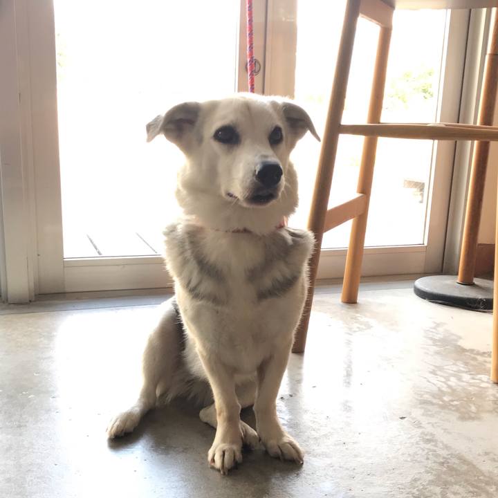 A407435a a5a7 41bc b890 ec69fd7f3e0e 1588113274343