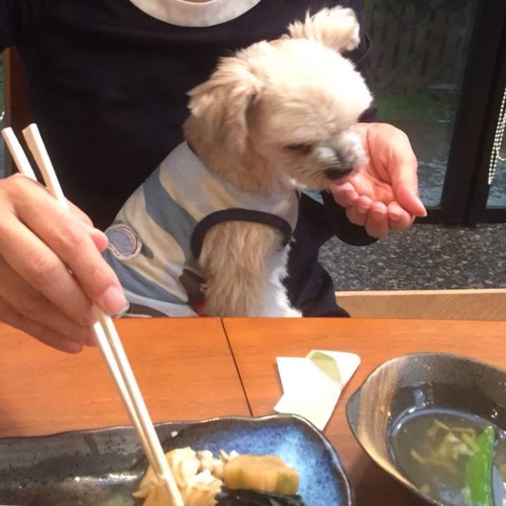 A4076248 2840 49d5 83c8 69266ff0b97c 1561808223352