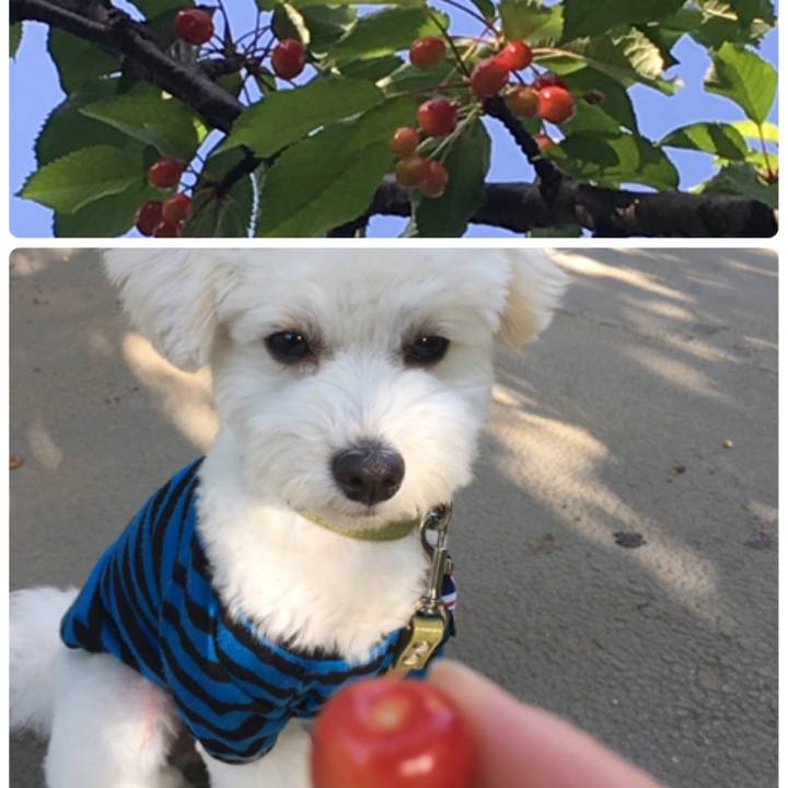 A407875e d361 44a1 9805 d5272b3ea28c 1526346449616