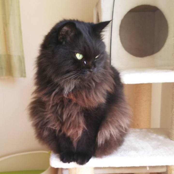 A40787a3 6921 45fb 8365 cc307845afb2 1570245017845