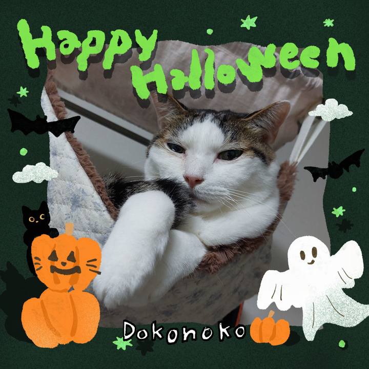 A407a8d7 7efc 423c 90ad 79b69668b275 1729811201439