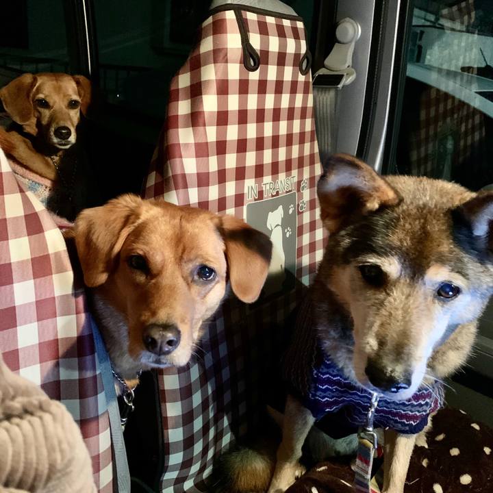 A407ee88 6c8f 42eb 8f88 cbff7641c195 1575631414583