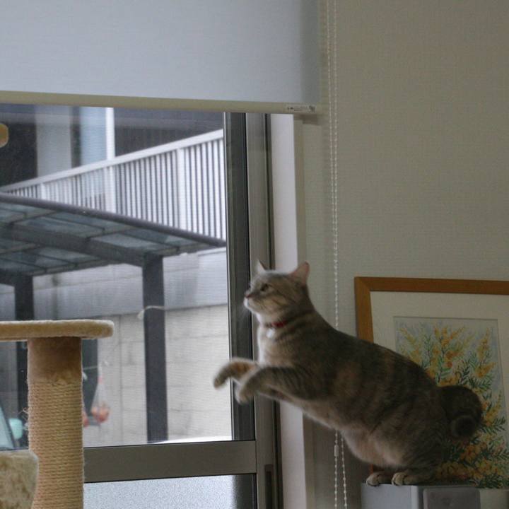 A4082f91 f45b 42ef 9594 f62f0b8595ab 1508841472418