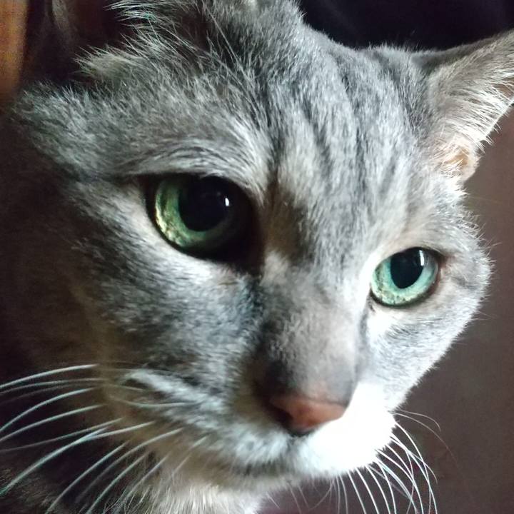 A4085bb9 8817 4407 a23d 9c0d8052fe4a 1685055722718