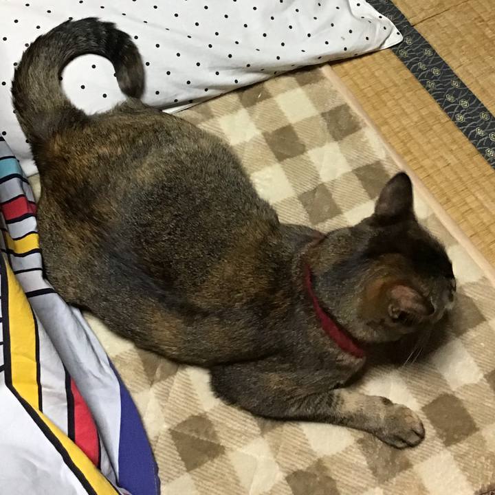 A4087f72 0a20 40a4 a39b 496522627215 1604047609004