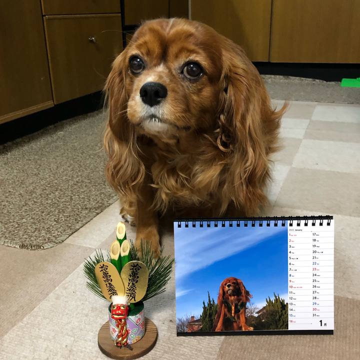 A408ab1d 56fd 43c1 bb4f 51032da8c272 1640990827651