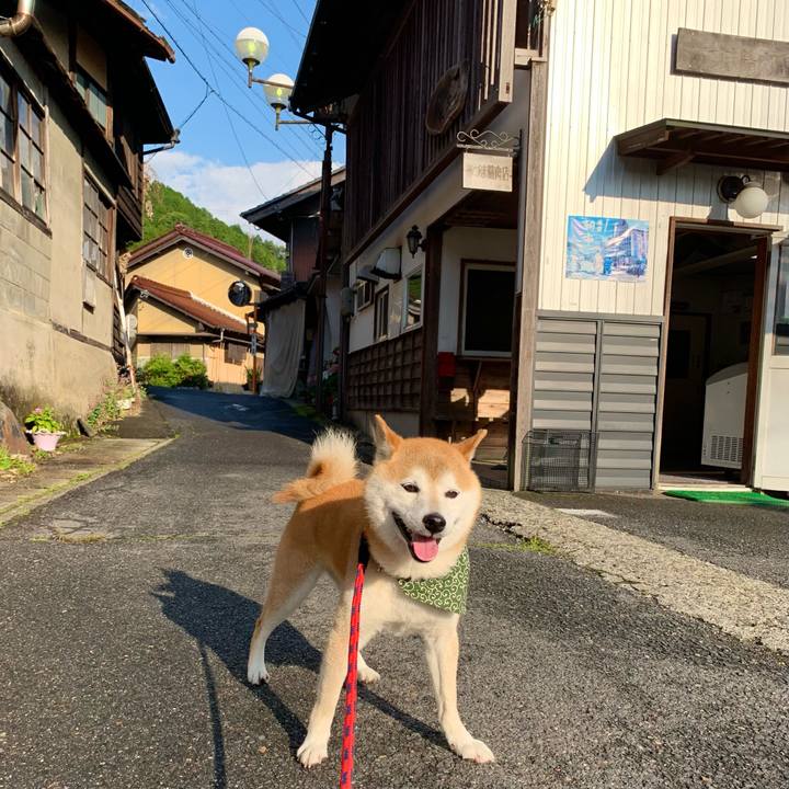 A408be25 bcb8 4ede a022 b97c2cb23279 1654763454267