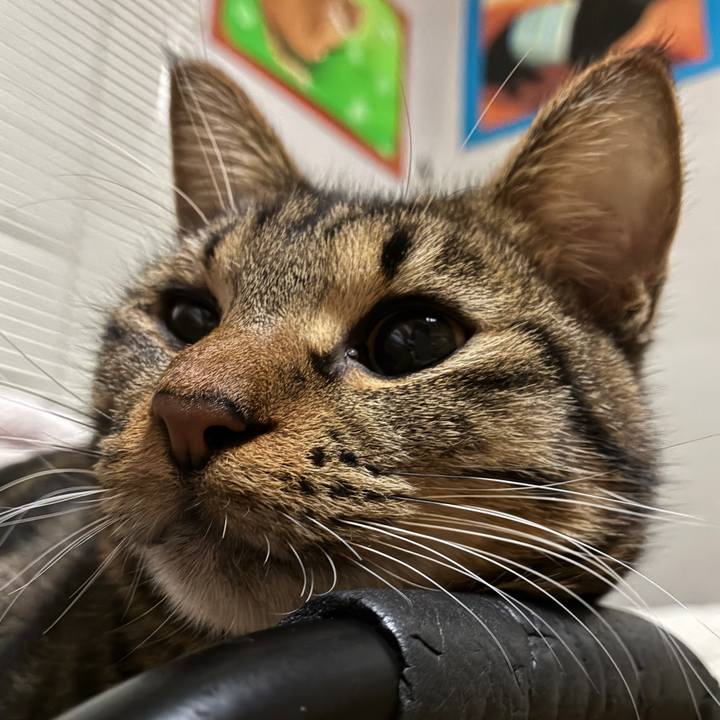 A4094aa6 9b99 4691 be7c cc0e02869f85 1764326319817