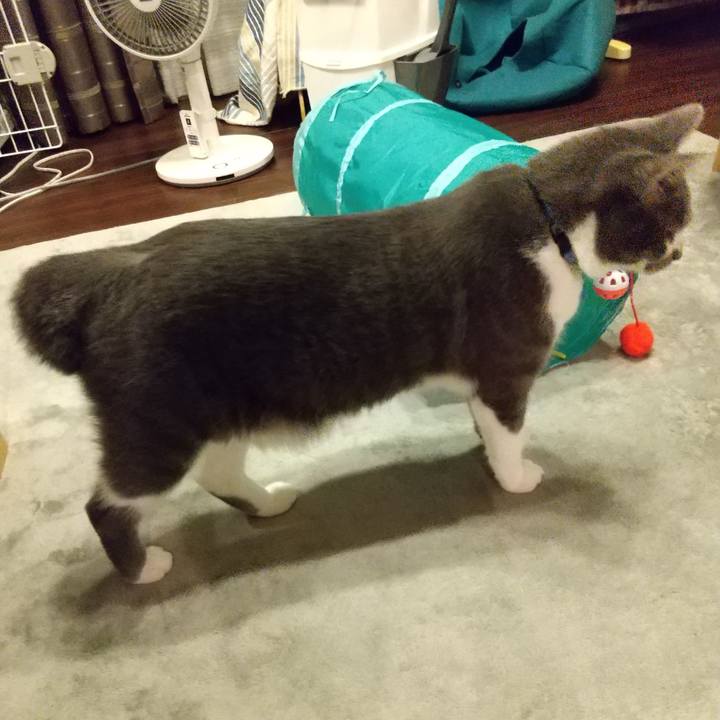 A40955bc fa15 4d30 a7ec 23dfc6a246b3 1602080422884