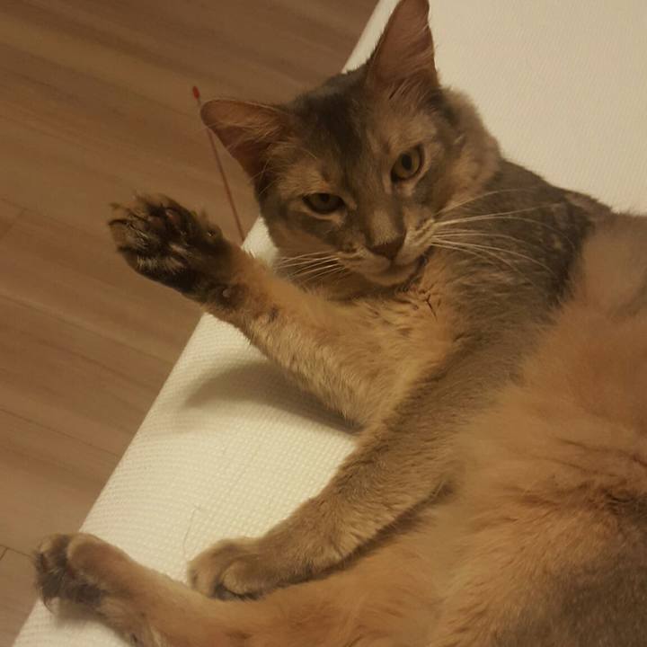 A40992d9 ae13 4796 af20 845dc0de32e7 1531178771476