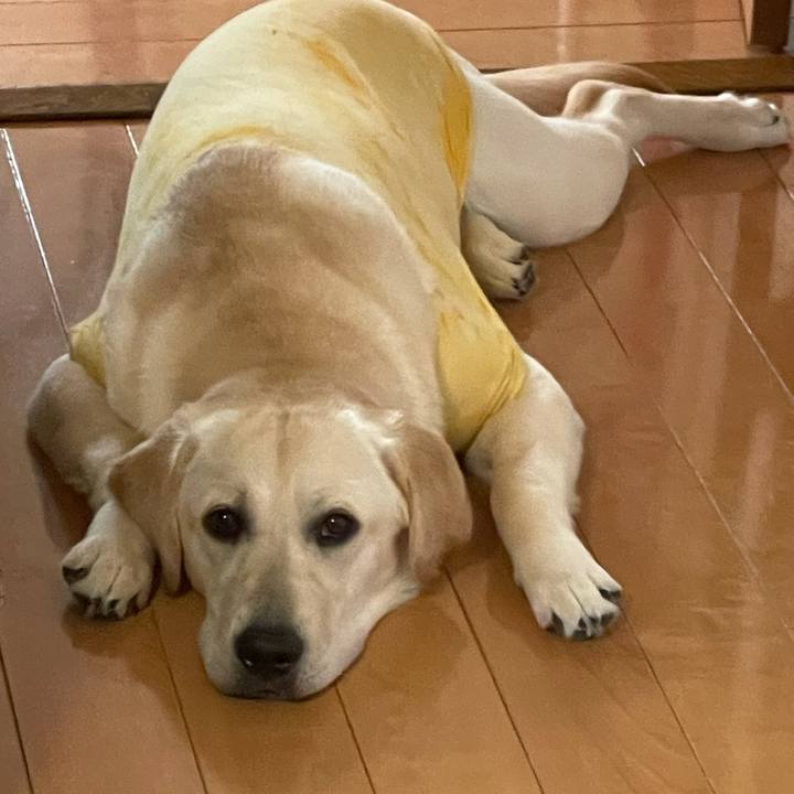 A409954d b266 4499 b6e9 e3948636426b 1624880241569