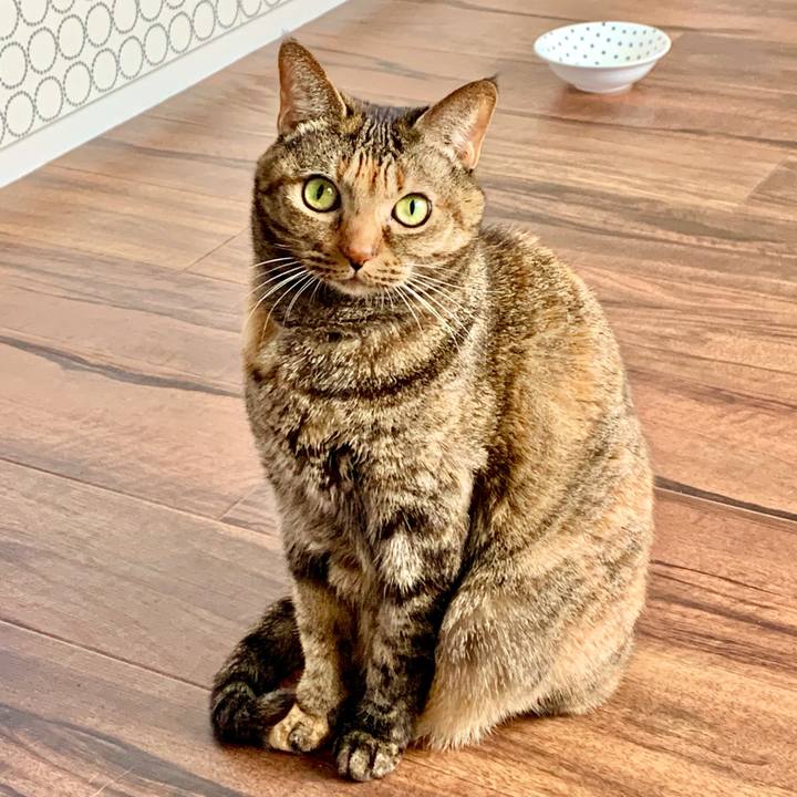 A409eb90 99cf 4563 a122 8e7891d9f1bd 1616073928118