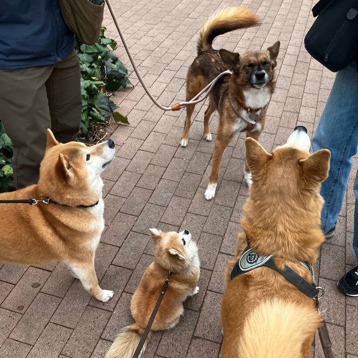 A409ff5b 34cf 4b89 83ae dabe8ac0a199 1773571956934