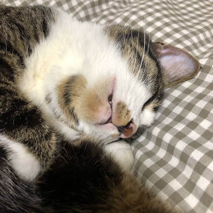 A40a0f49 03d9 4e26 835d c345f1a8a291 1520506397822