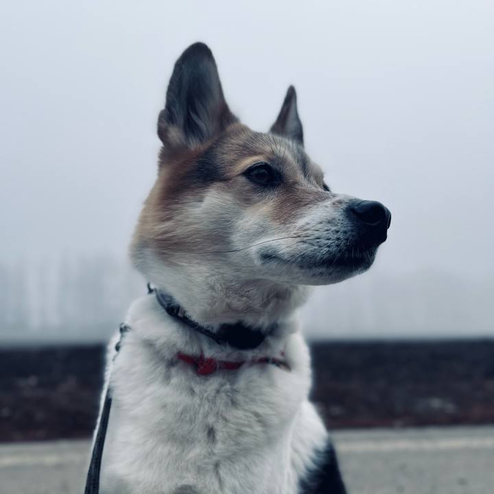 A40a1c1e 2619 4b34 b322 5536aebb5a47 1772143904572