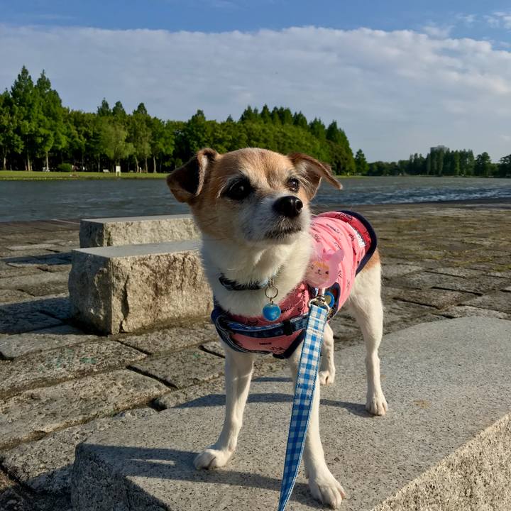 A40a8728 658a 4dd9 8155 20da5d3dcc6b 1623492343146