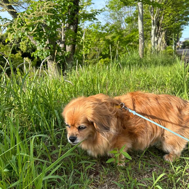 A40a9c38 96a9 41ba a6b8 c531fbe6e0e8 1746998004132