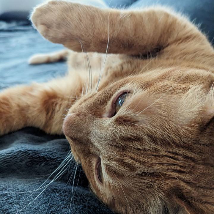 A40b3375 bd4b 4743 8cf3 a9fc6eb3fba4 1674982546667