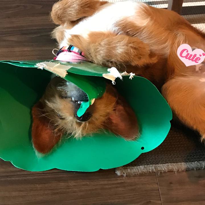 A40b3764 b926 431f ae59 761cbbaf5148 1526811910172