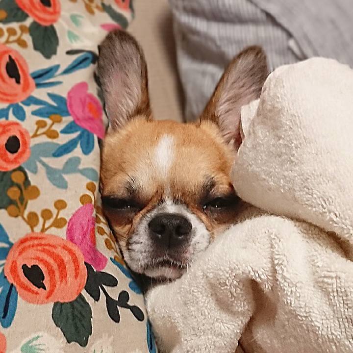 A40b4047 5406 4e17 81c7 7d7b36780ff4 1570965556700