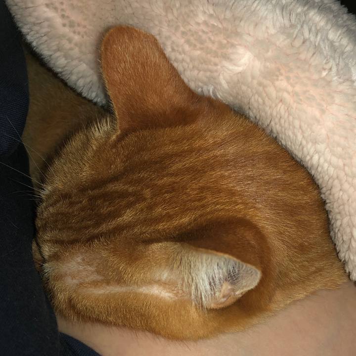 A40b7164 60bf 43a2 a999 f6f23c9f5e65 1728157560677