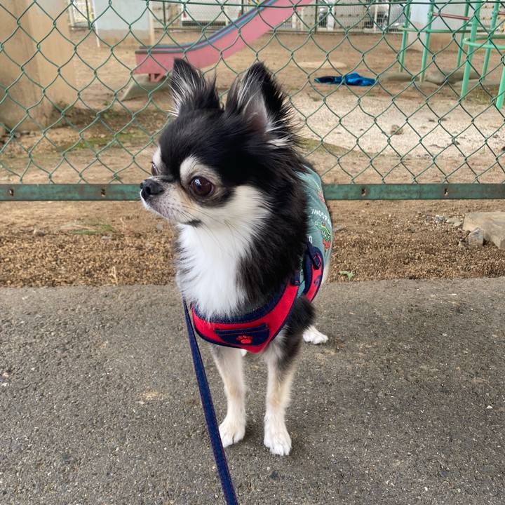 A40b9717 8e38 4662 99d2 e4c6970f7f9a 1697904278847