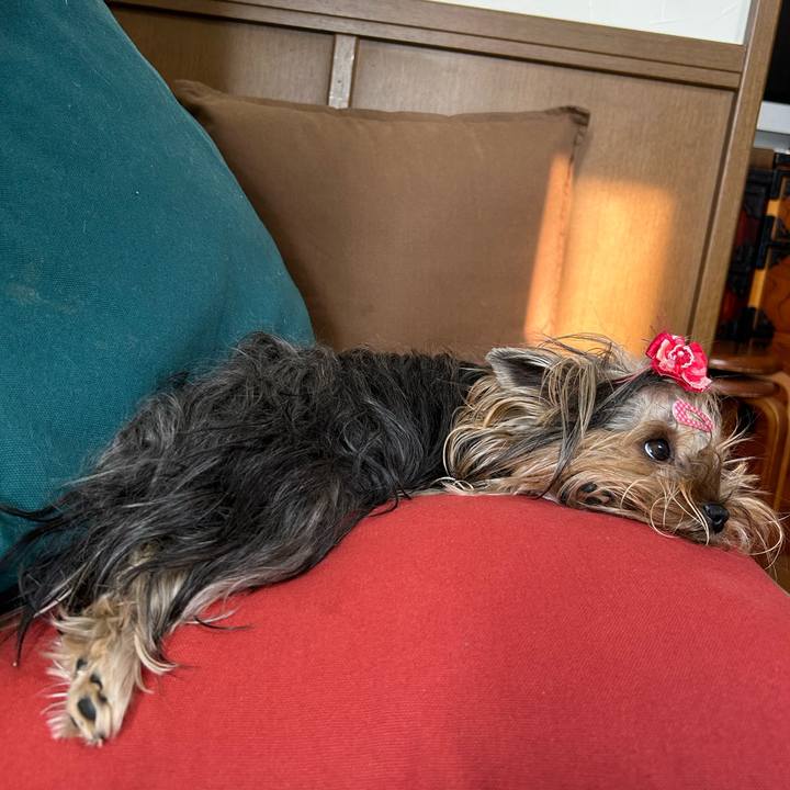 A40bf2c9 f1d8 4750 b06b 1b50c070ec12 1668914298443