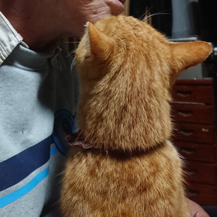 A40c3158 7f9a 4162 b629 a50614b9d700 1607284518766