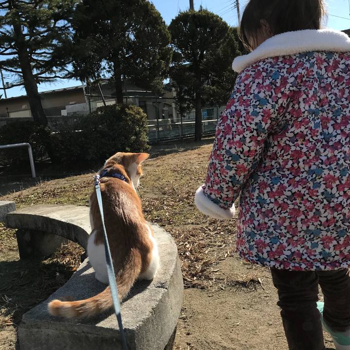 A40c6986 5e62 4238 b96f 9e3a8e8560d2 1512097072767