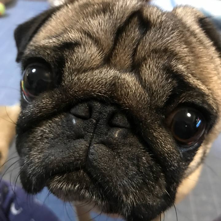 A40c8010 7a49 4ae5 a698 ef78c3630c12 1509018744780