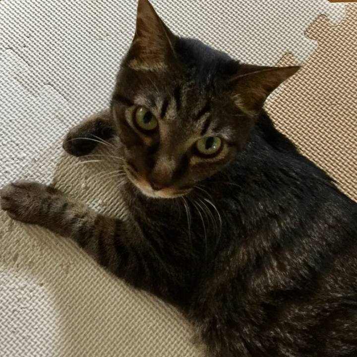 A40c9762 116f 4bae 84f1 a8a86108beb2 1712144090469