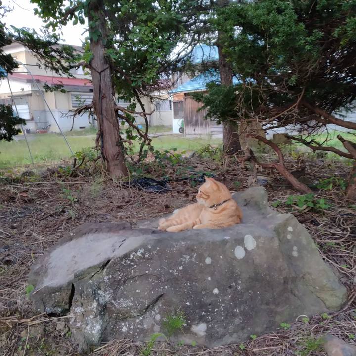 A40cf372 b7ca 4136 98fa 840b3c93dbaa 1663457259877