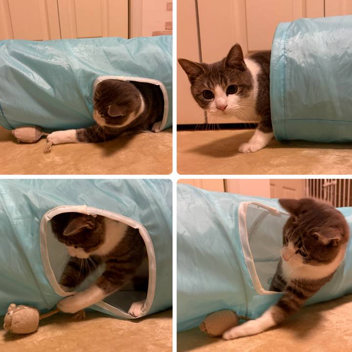 A40d1f9f 62e9 4360 a344 940953a62799 1765885590077