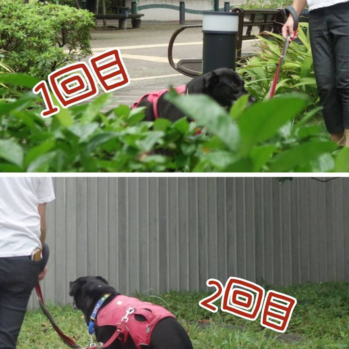 A40d2449 daa6 4812 ad63 20394007a0f5 1695342566434