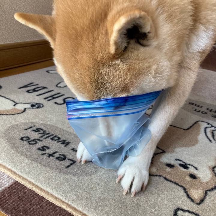 A40d2d35 268c 42ac b0ee 4bb67ec47f4e 1614558574986