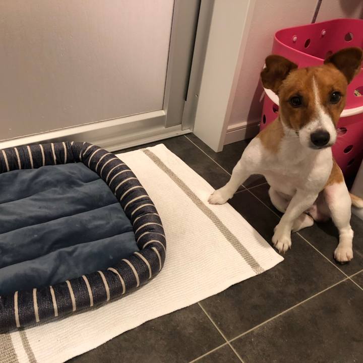 A40d398f 57db 4932 9012 67145c034059 1602647298565