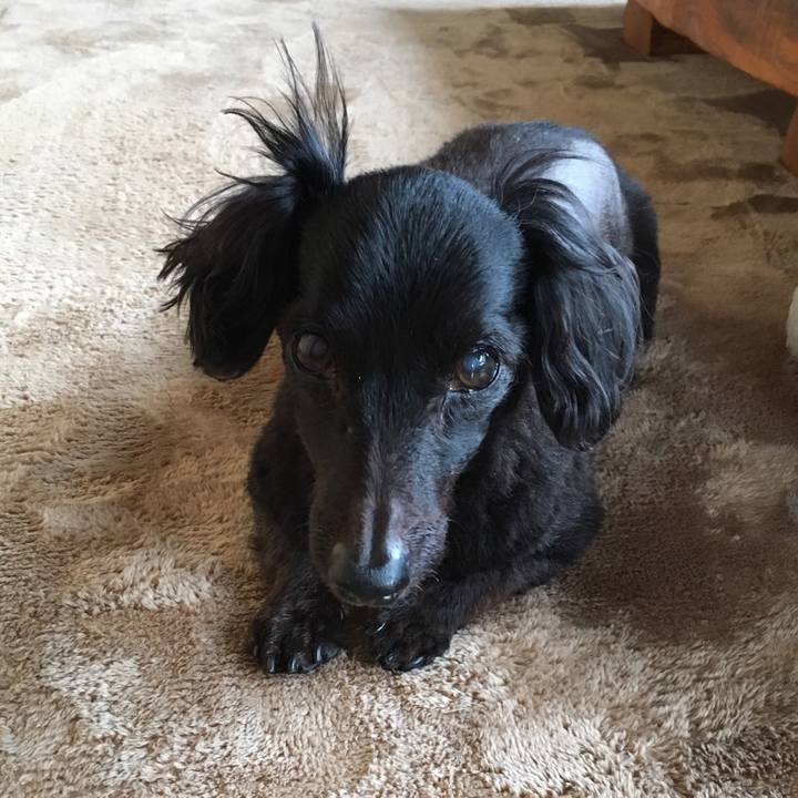 A40d41b5 a2dc 4647 aaa7 378673cc0c4b 1546811934904