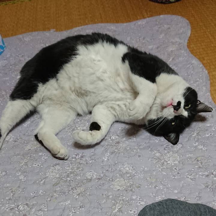 A40dd900 1755 4970 90ee f7f338d83e4c 1553251145617