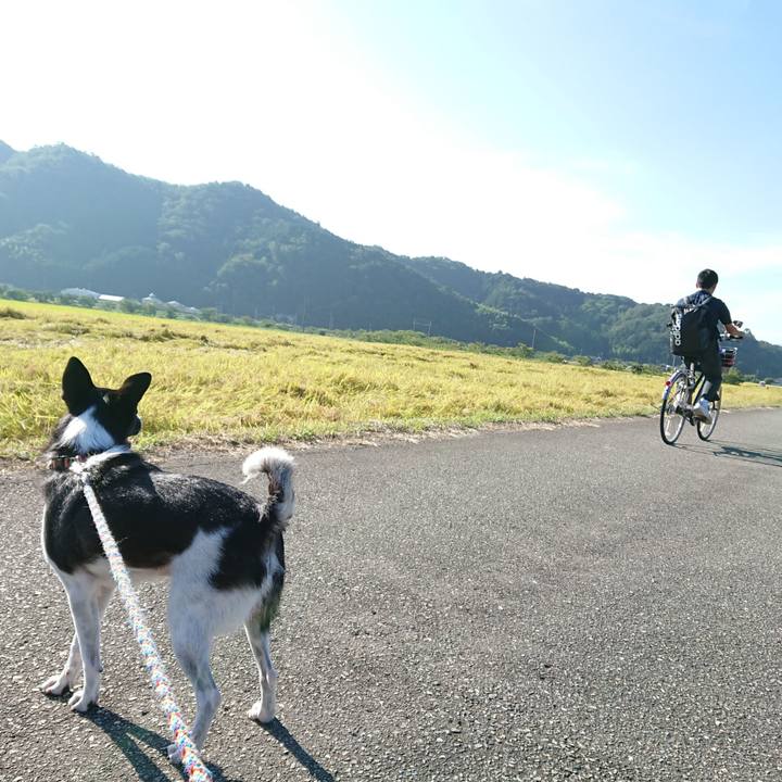 A40de482 5731 4f99 9622 64eac5a42536 1567986099771