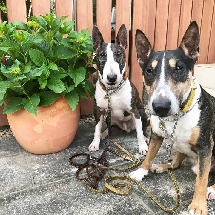 A40dfaed 8dbb 4cc1 a62a e5b658100023 1527584705249