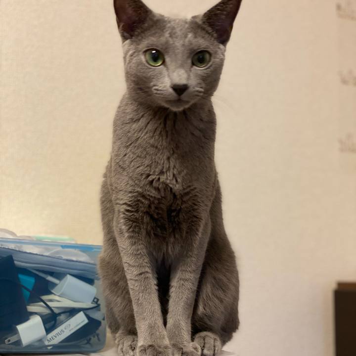 A40e1156 833f 4655 9520 856534500f6a 1632634431086