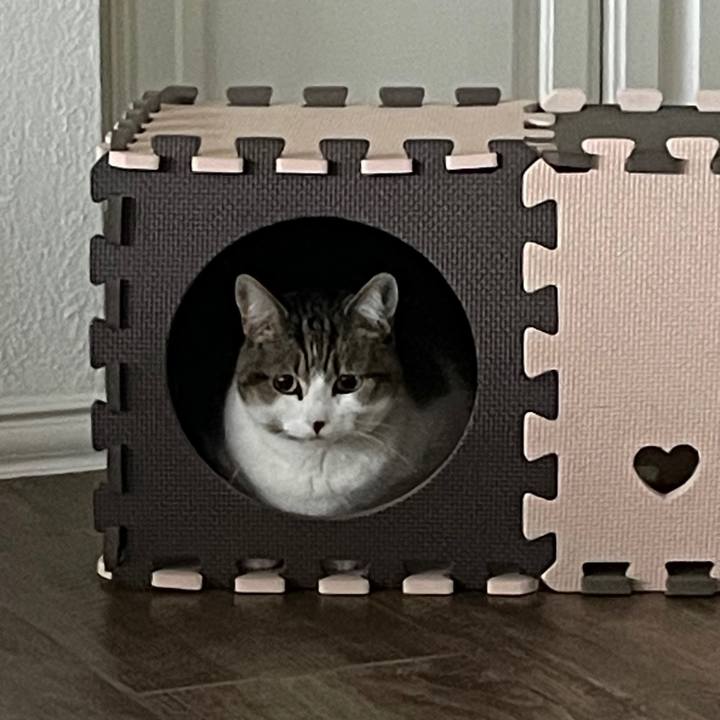 A40e18f8 4563 4b9c ba1a 8eb9f24dd5d4 1769476135180