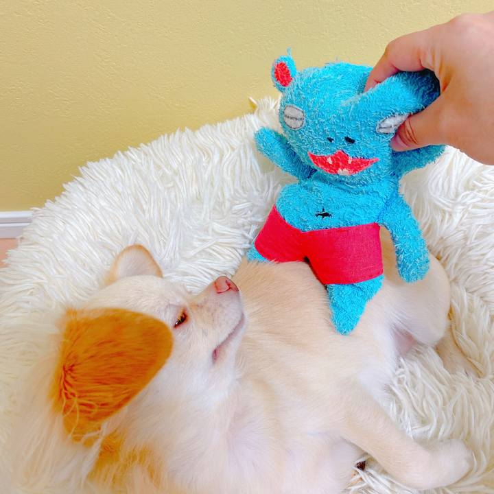 A40e2b8e d426 4399 9bb3 9636c21708ba 1635757593136