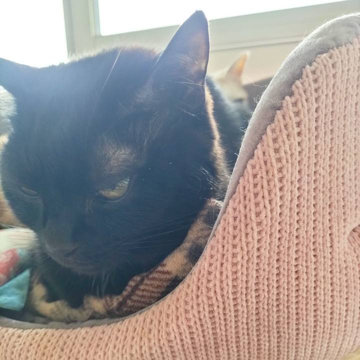 A40e4909 7c4d 44dc 93c2 09ad805586f3 1713749156923