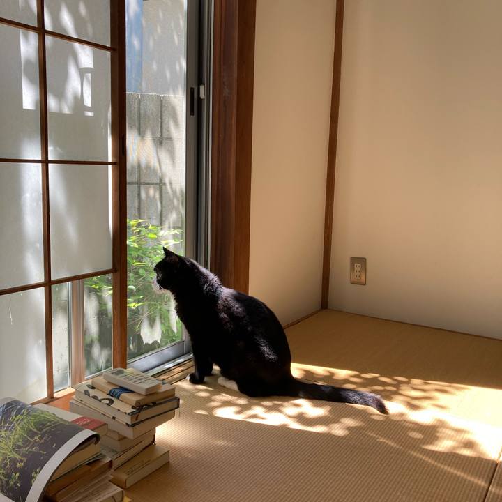 A40e83c5 aacf 40b7 99d3 53037dff19a2 1632018812643